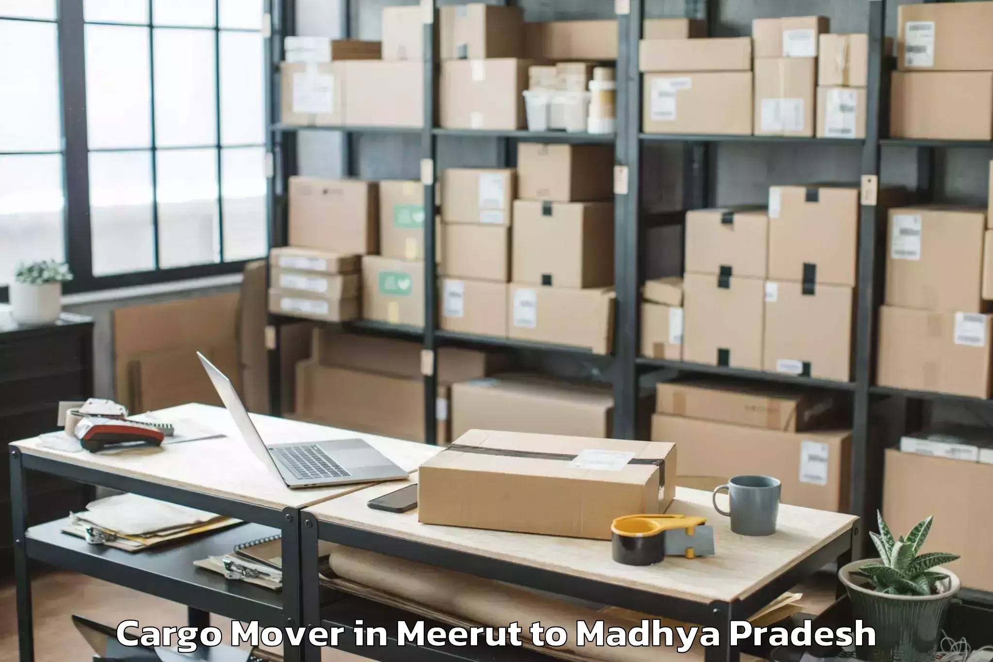 Top Meerut to Pachore Cargo Mover Available